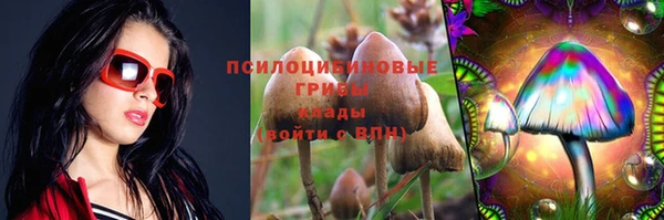 ешки Медвежьегорск