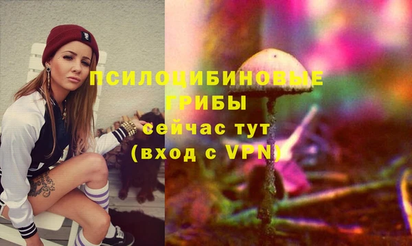бошки Михайлов