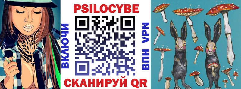 где продают   Камешково  Галлюциногенные грибы мухоморы 